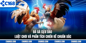 Đá Gà Cựa Dao - Luật Chơi Và Phân Tích Chiến Kê Chuẩn Xác