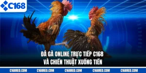Đá Gà Online Trực Tiếp C168 Và Chiến Thuật Xuống Tiền