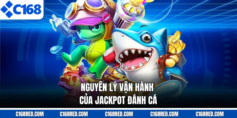 Nguyên lý vận hành của jackpot đánh cá