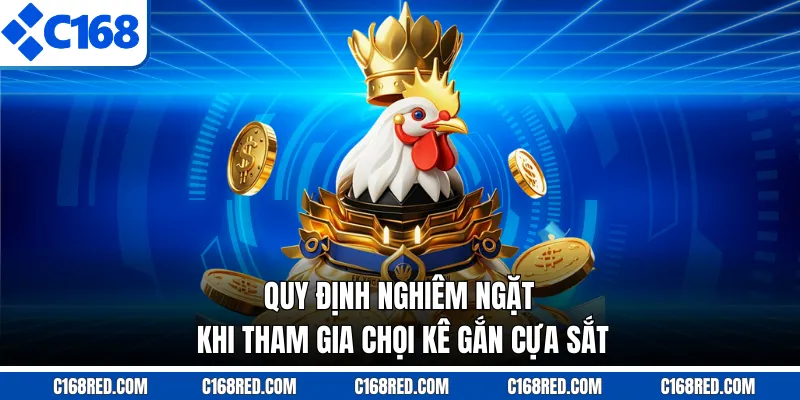 Quy định nghiêm ngặt khi tham gia chọi kê gắn cựa sắt